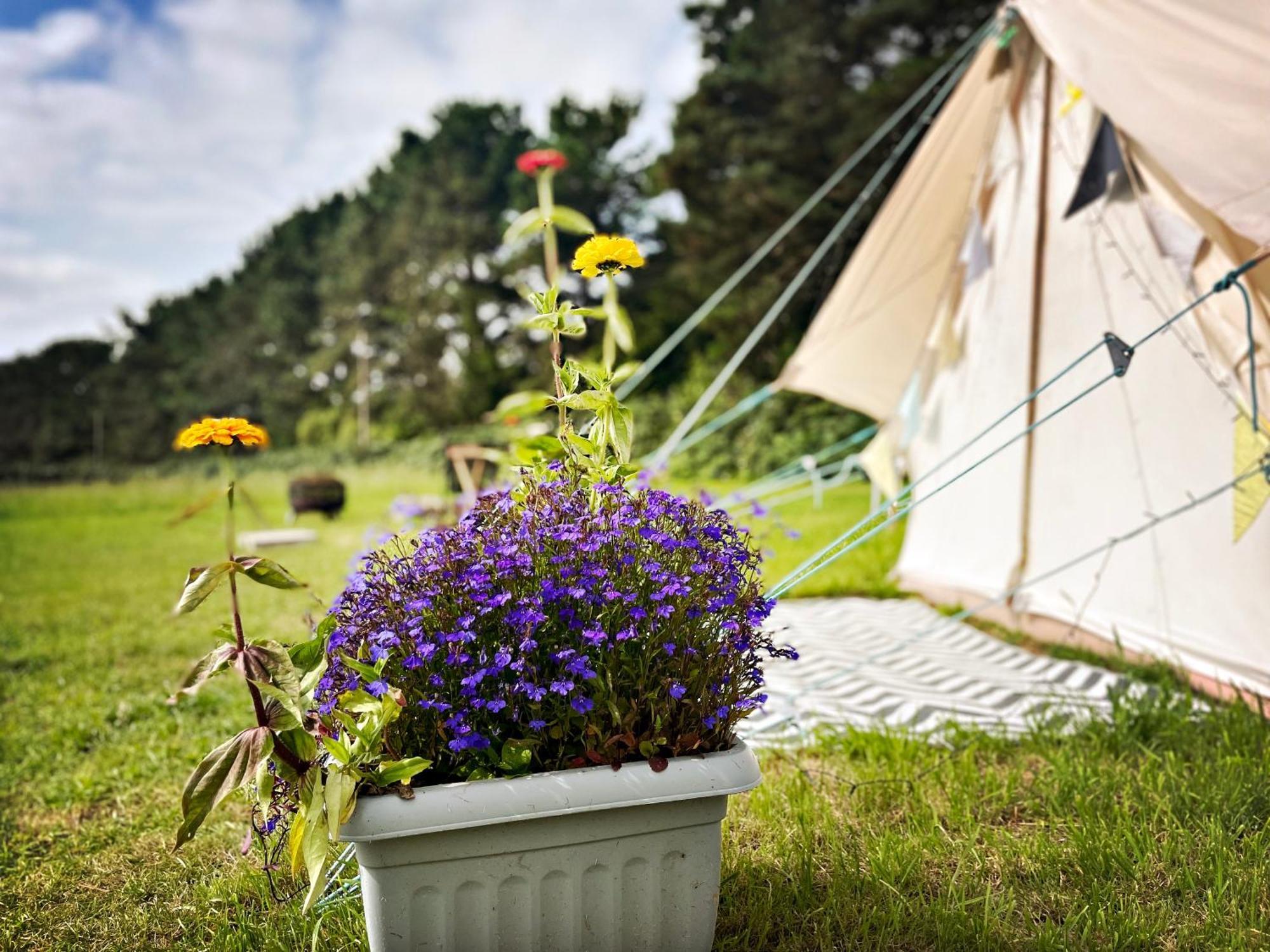 Trevena Cross Glamping & Camping เฮลสตัน ภายนอก รูปภาพ